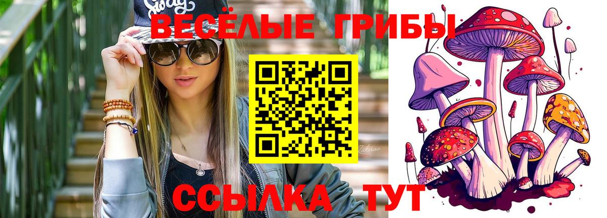 Галлюциногенные грибы прущие грибы  Галлюциногенные грибы Cubensis  Елец  Вход с VPN 