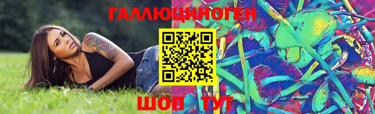 Псилоцибиновые грибы мухоморы Елец